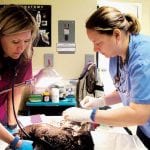 article image - 
